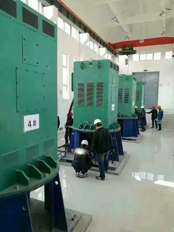 宁蒗某污水处理厂使用我厂的立式高压电机安装现场